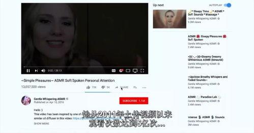 日韩色情精品网站视频